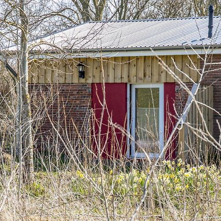 Appartamento Deichgraf 1 Friedrichskoog Esterno foto