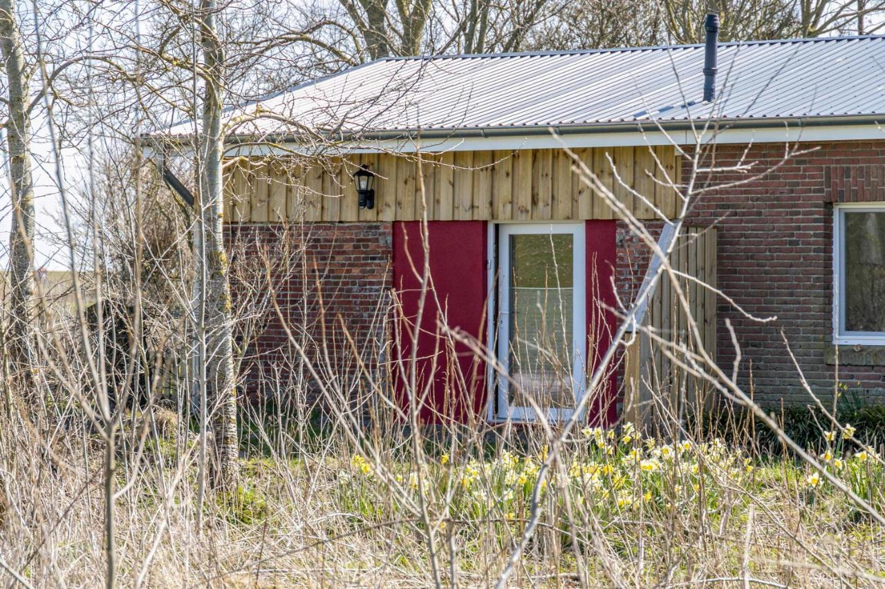 Appartamento Deichgraf 1 Friedrichskoog Esterno foto