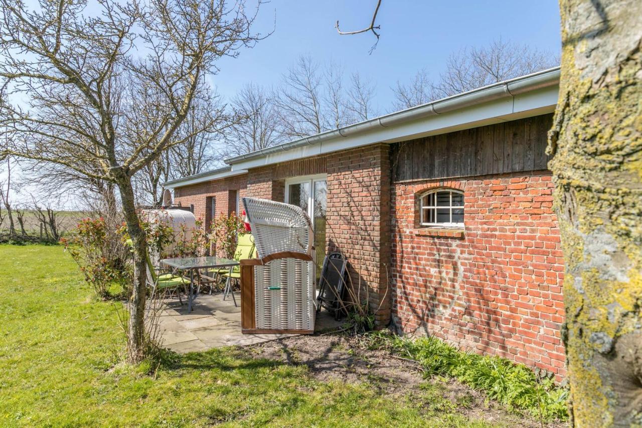 Appartamento Deichgraf 1 Friedrichskoog Esterno foto