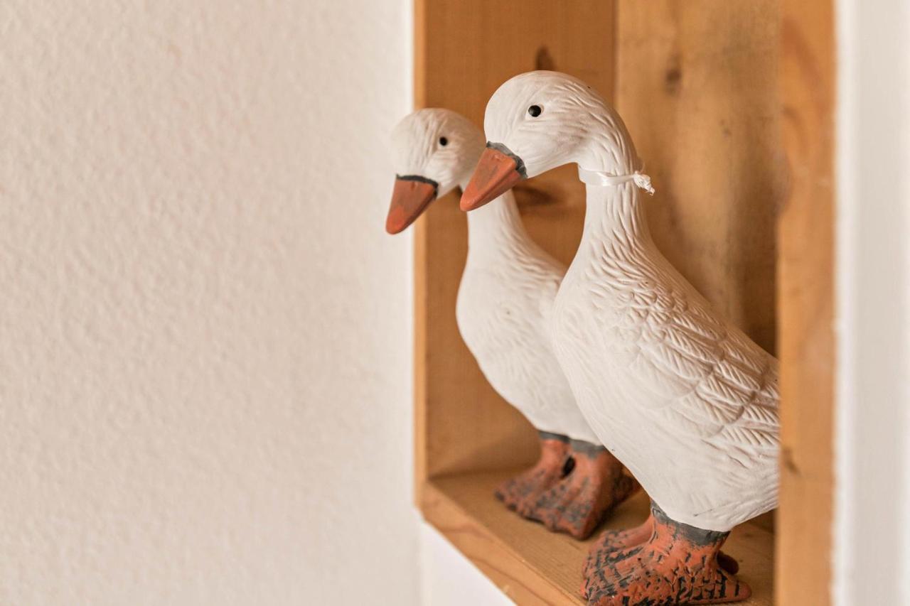 Appartamento Deichgraf 1 Friedrichskoog Esterno foto