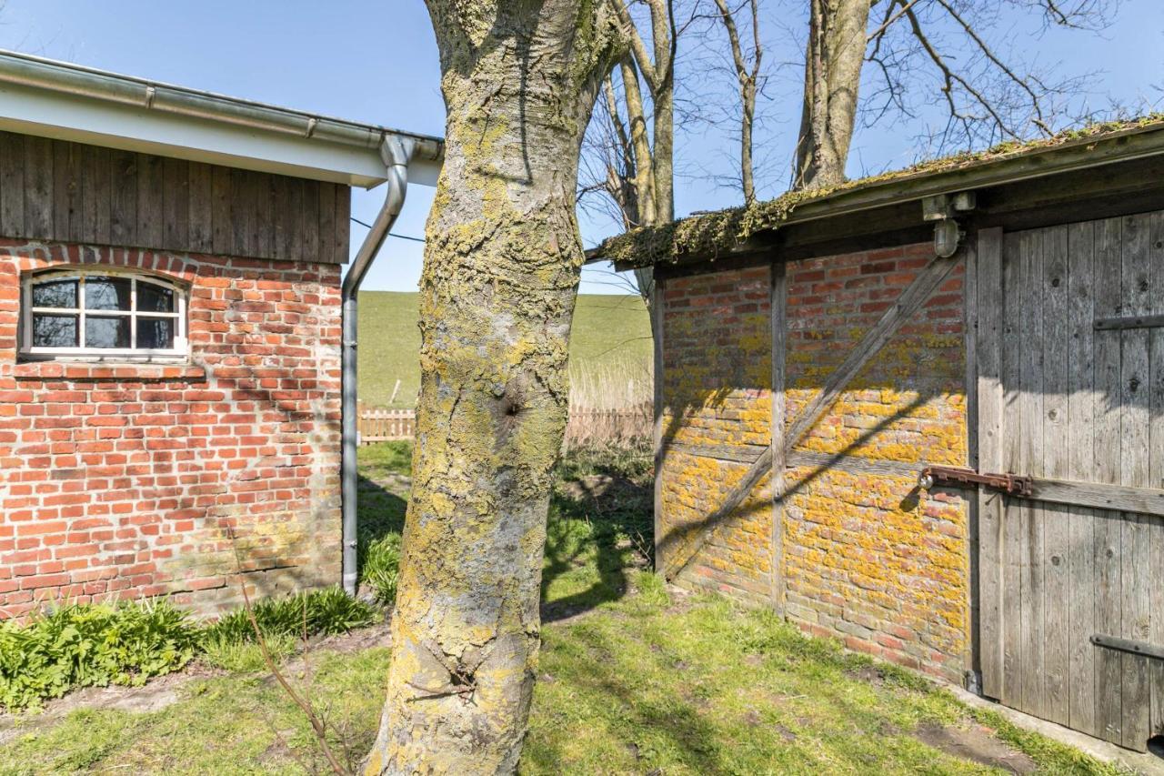 Appartamento Deichgraf 1 Friedrichskoog Esterno foto