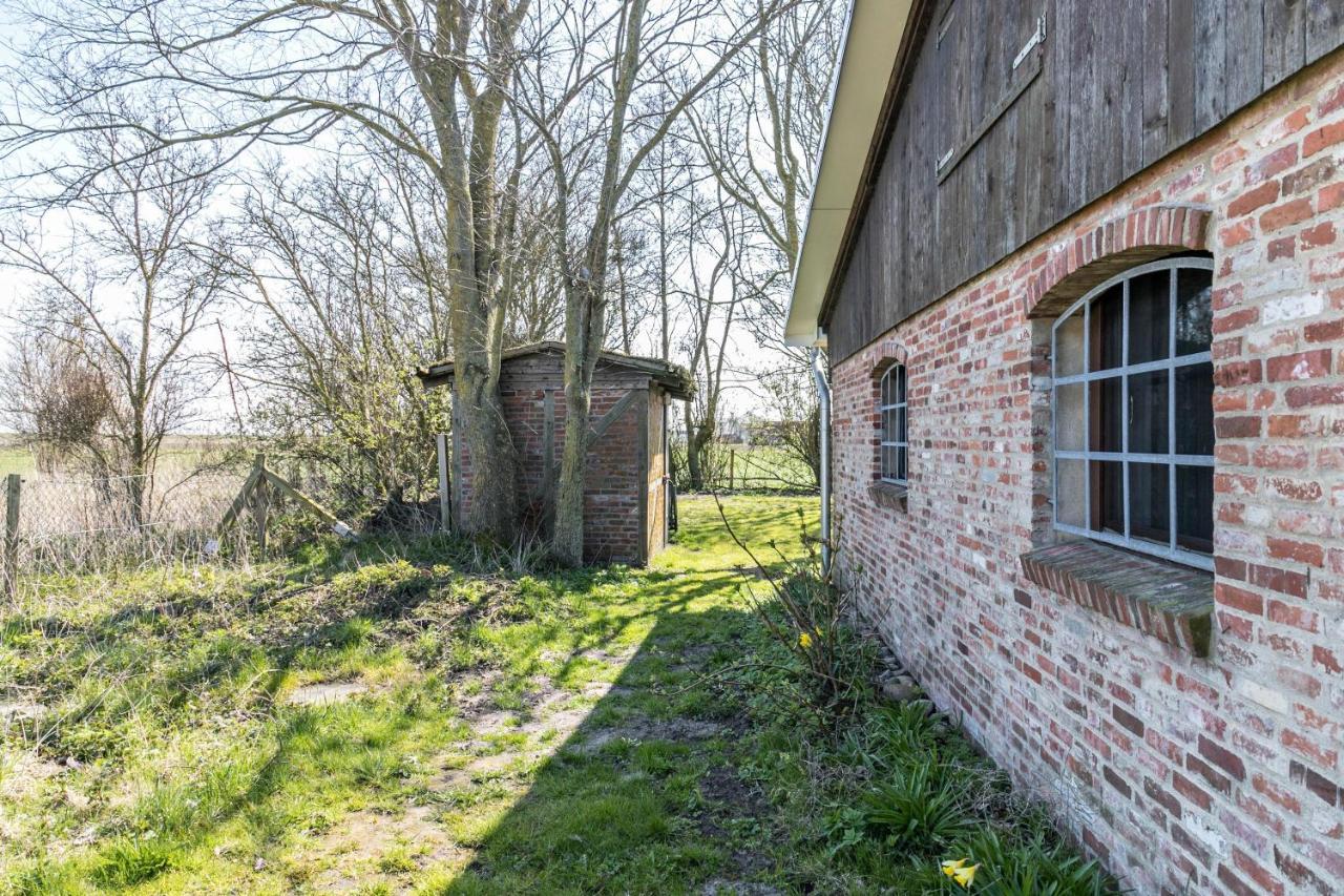 Appartamento Deichgraf 1 Friedrichskoog Esterno foto